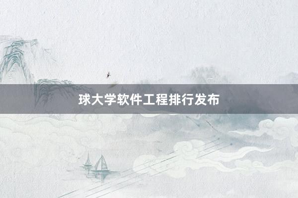 球大学软件工程排行发布